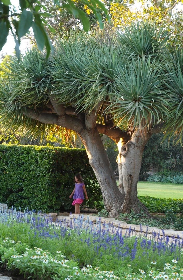 Ramat Hanadiv Memorial Gardens and Nature Park