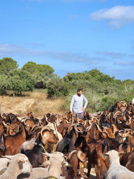 נג'אח עם דיר העיזים בפארק הטבע