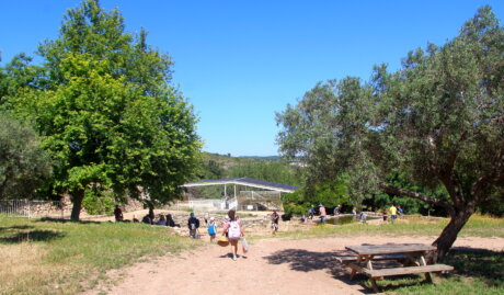ילדים צועדים אל בית המרחץ בפארק הטבע