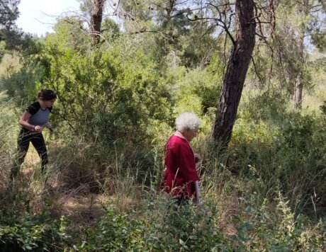 פוסעות ביער