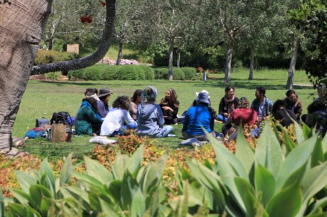 צוות אנשים מתחום החינוך, בכנס, יושבים על הדשא במעגל בגנים
