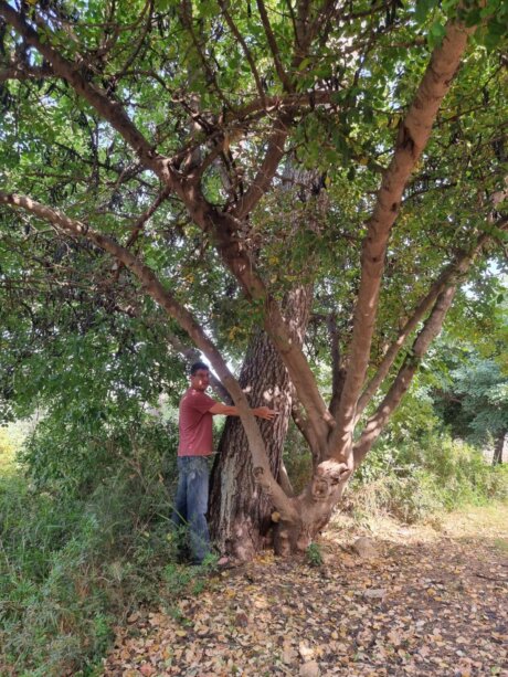אופיר קירי, מחבק את אחד העצים בזכרון