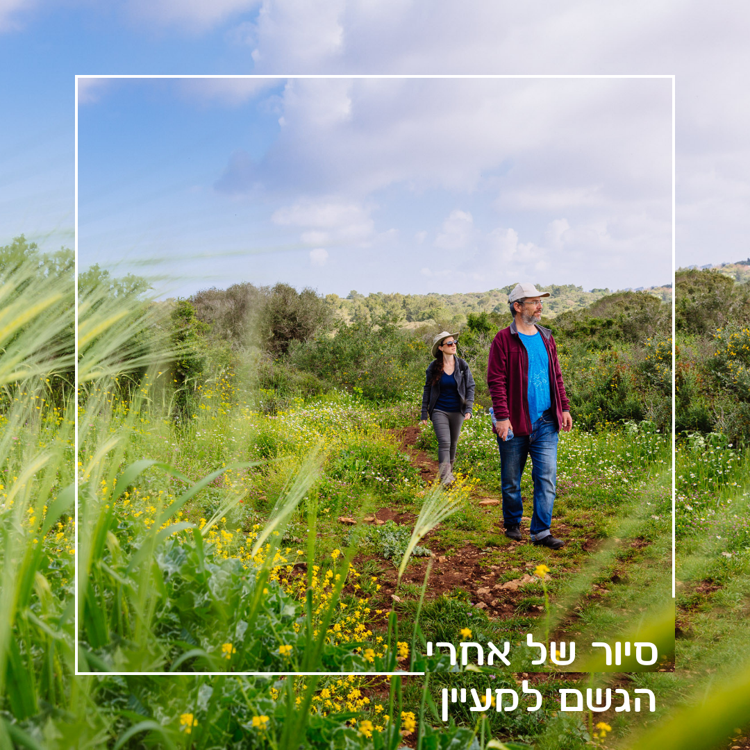 סיור של אחרי הגשם למעיין (5)