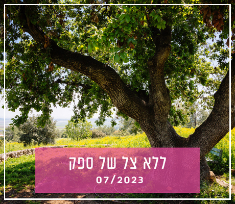 יֵס דיר (1)-fotor-20231106141836