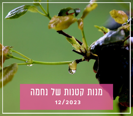 יֵס דיר (17)-fotor-20231218152350