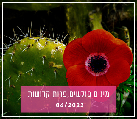 יֵס דיר (3)-fotor-20231106142026