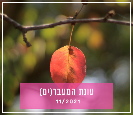 יֵס דיר (8)-fotor-2023110713041