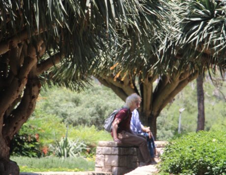 בחור יושב על מעקה בגנים תחת עצי הדרקונית קרנית בגן המפלים