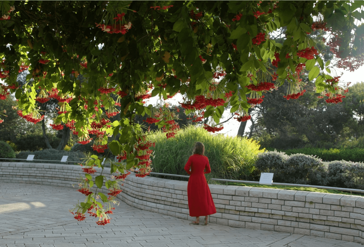 אישה בשמלה אדומה מטיילת בגן הריחות