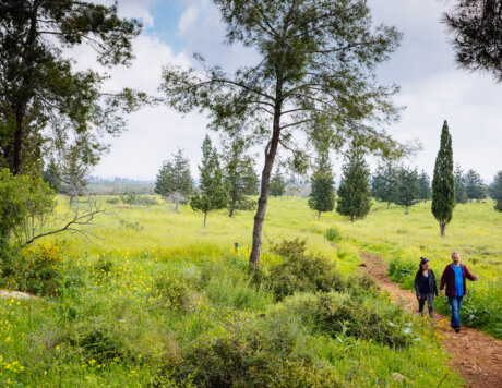 Ramat Hanadiv Nature Park, Israel.