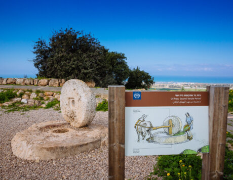 Ramat Hanadiv Nature Park, Israel.