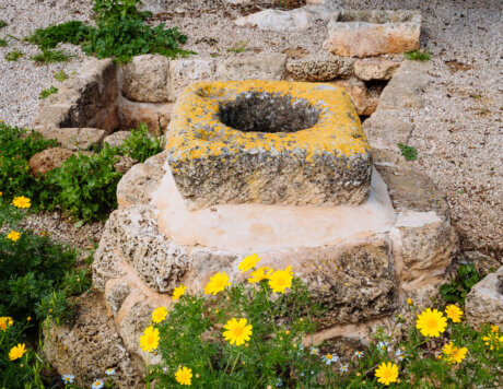 Ramat Hanadiv Nature Park, Israel.