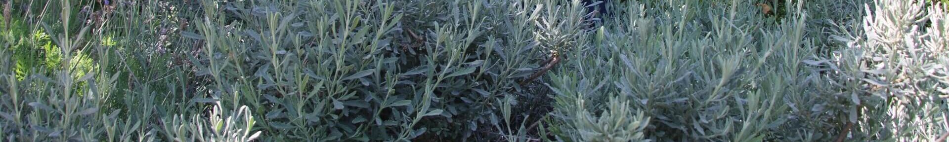 20230510102942_IMG_2850-aspect-ratio-x