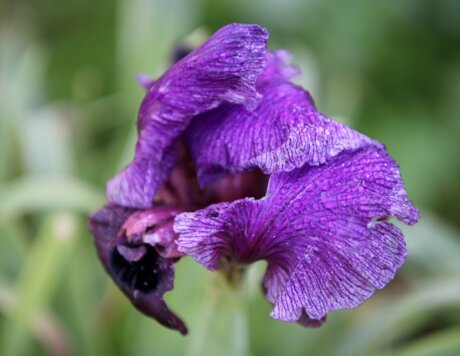 20240221095532_IMG_4748