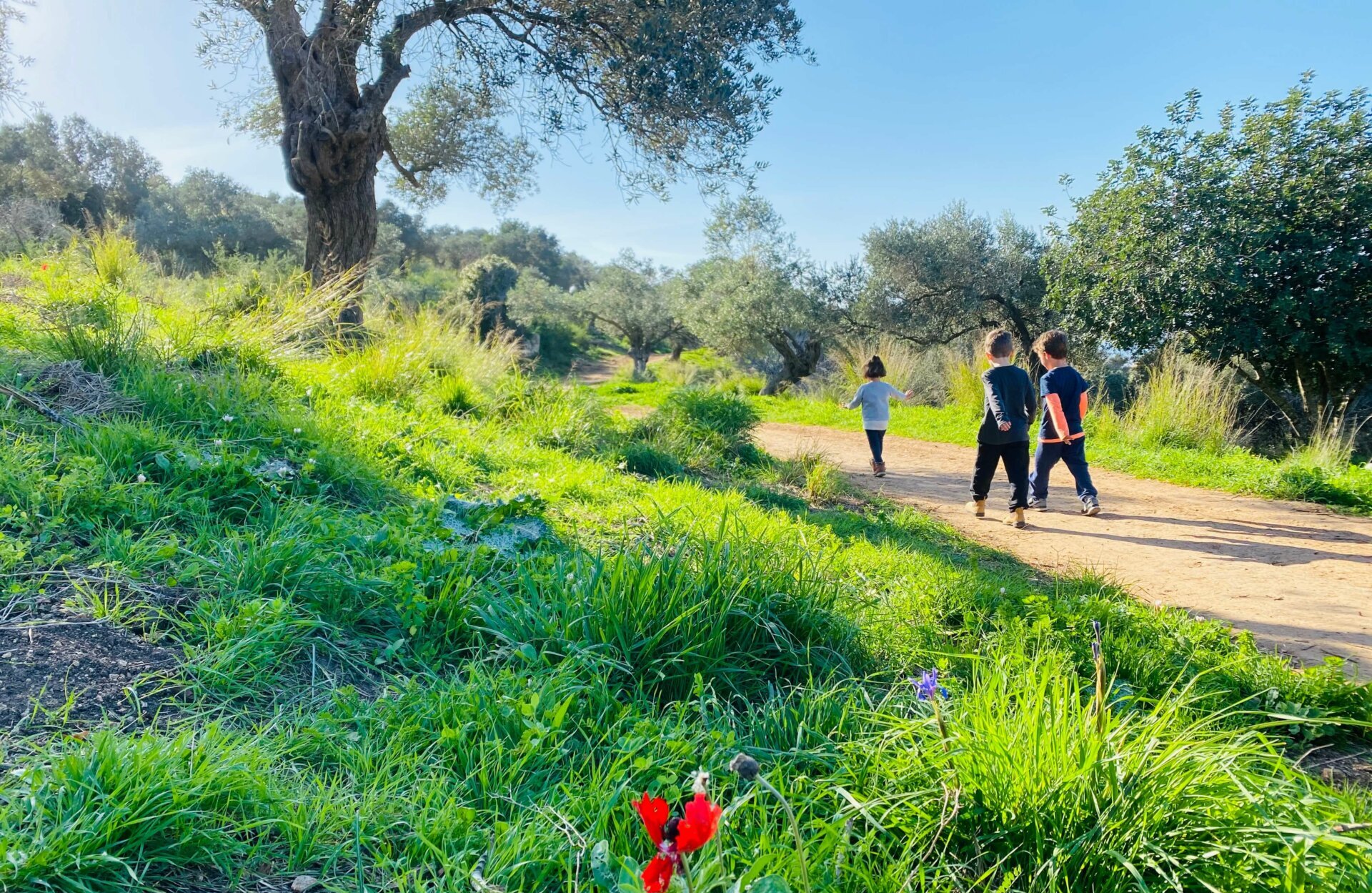 IMG_8818-e1676879172973-aspect-ratio-3.75x2.44