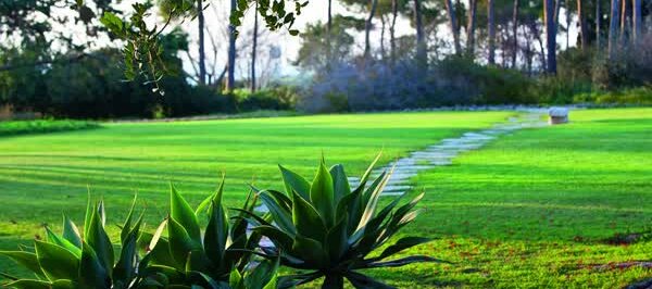 AMIT_GERON_IMG_4725_HL