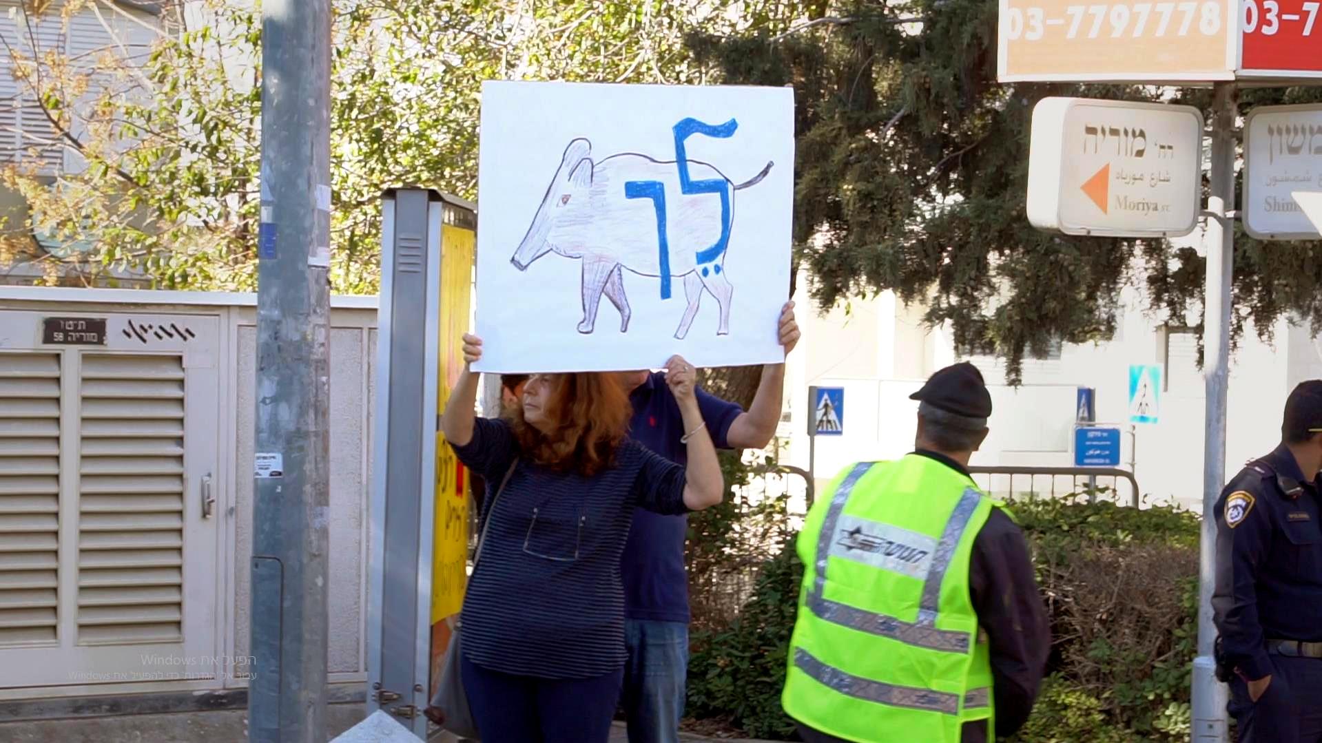 הפגנה בעיר- אישה מחזיקה שלט של חזיר עם כיתוב "לך"