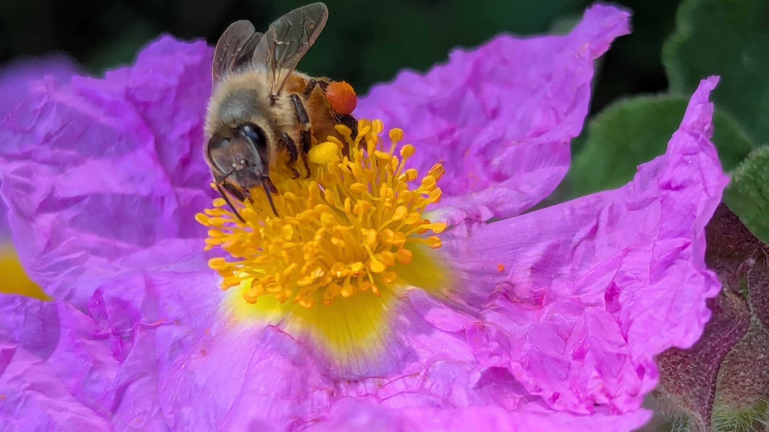 PXL_20250312_064321751