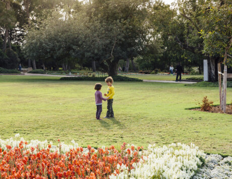 Ramat Hanadiv, Passover 2021, Zichron Yaacov Israel.