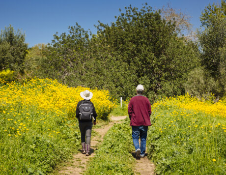 Ramat Hanadiv Nature Park, Israel.