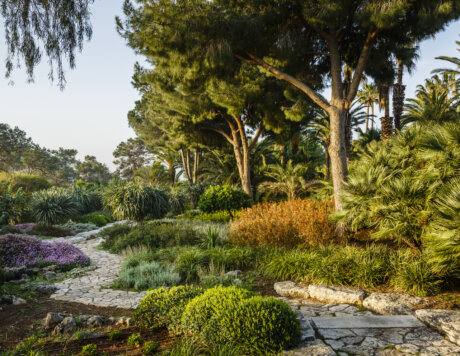 Ramat Hanadiv Gardens, Zichron Yaacov, Israel.
