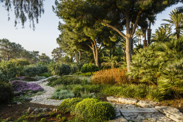 Ramat Hanadiv Gardens, Zichron Yaacov, Israel.