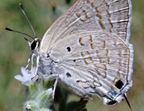 d1334148-8748-41c8-a8a4-b5efeb399cff