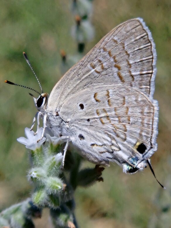 d1334148-8748-41c8-a8a4-b5efeb399cff