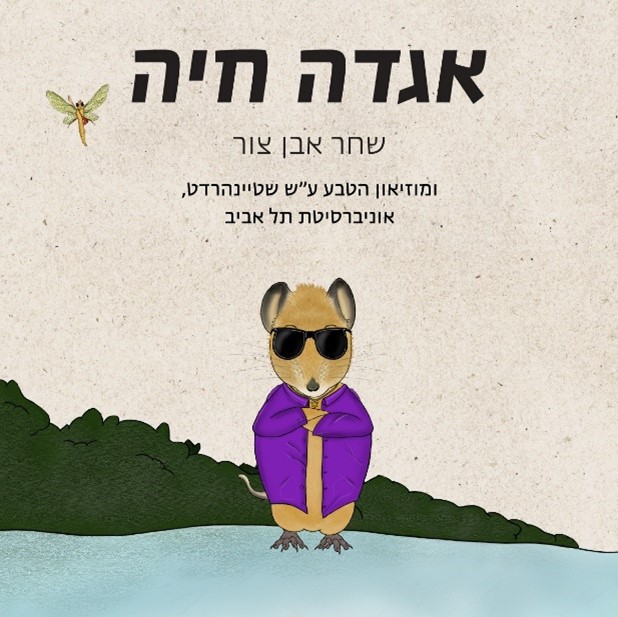 אגדה