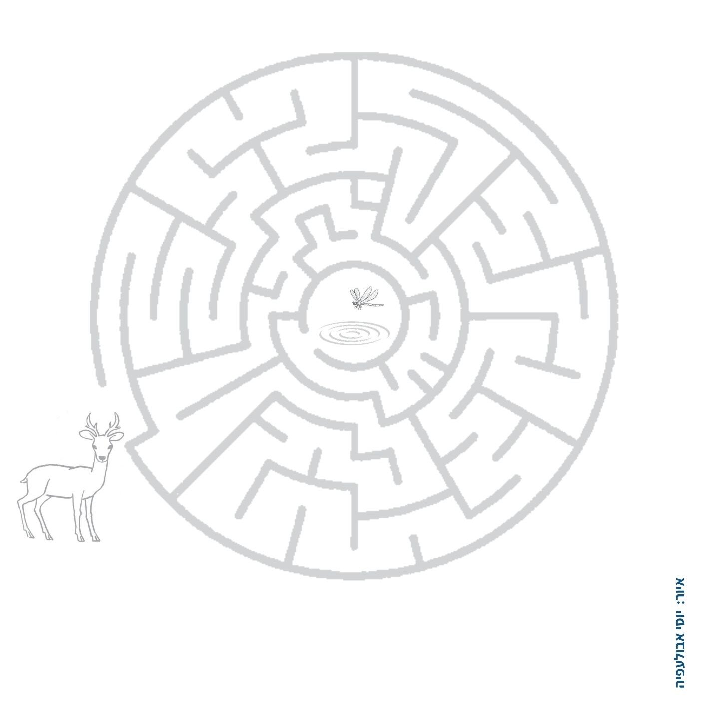 12-aspect-ratio-1x1