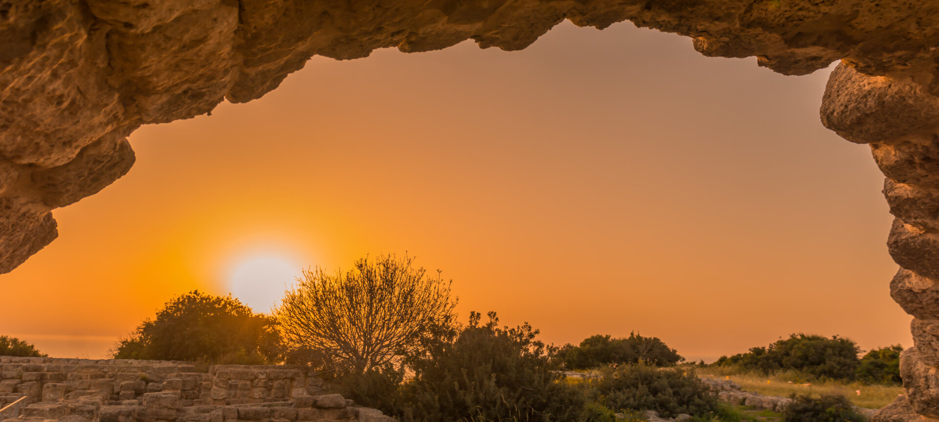 20180405-_DSC3925-e1668622202811-aspect-ratio-x