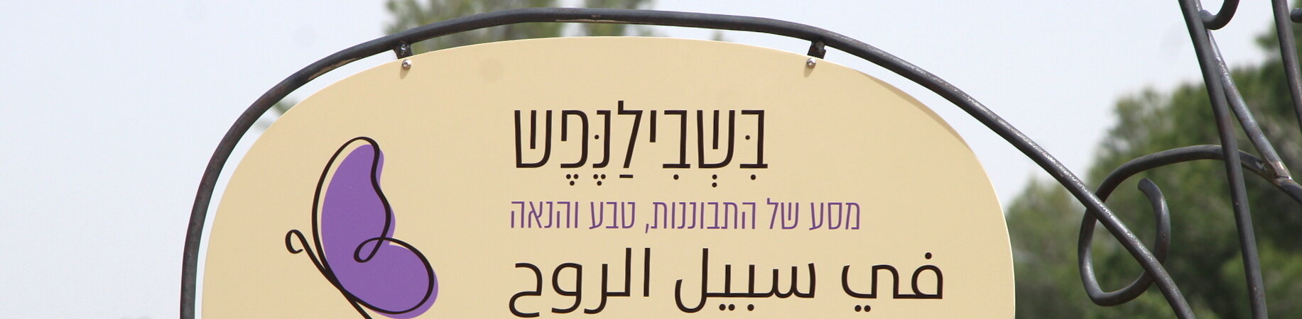 RonnyK_042024_BeshvilHanefesh-43-aspect-ratio-x