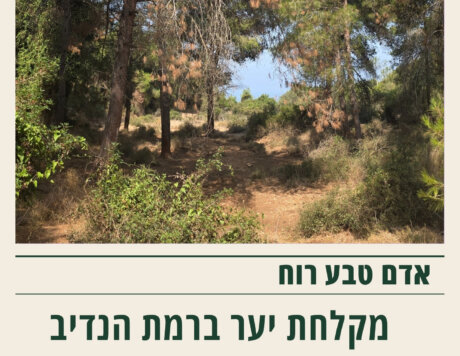 מקלחת יער (1)