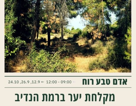מקלחת יער3