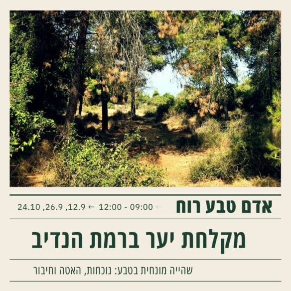מקלחת יער3