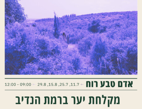 מקלחת יער4