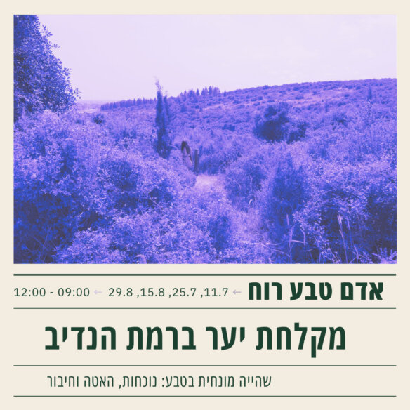 מקלחת יער4