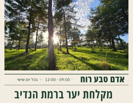 עותק של מקלחת יער