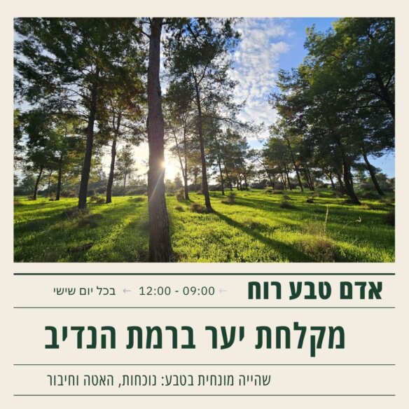 עותק של מקלחת יער