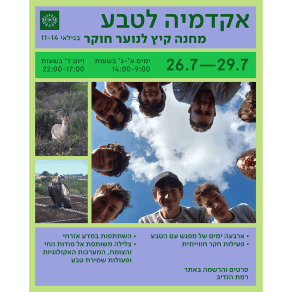 עיצוב ללא שם (1)