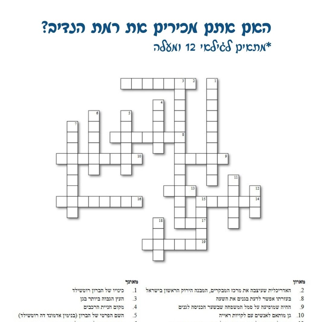 תשבץ-רמתנדיב-aspect-ratio-1x1
