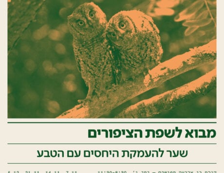 LECTURE 04 V32 (1)