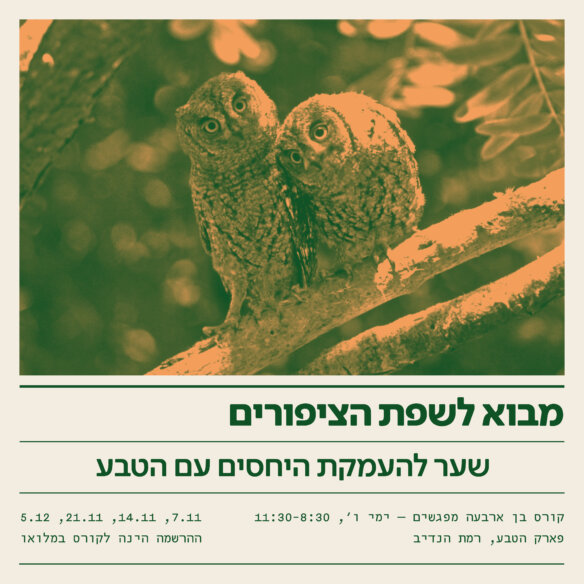 LECTURE 04 V32 (1)