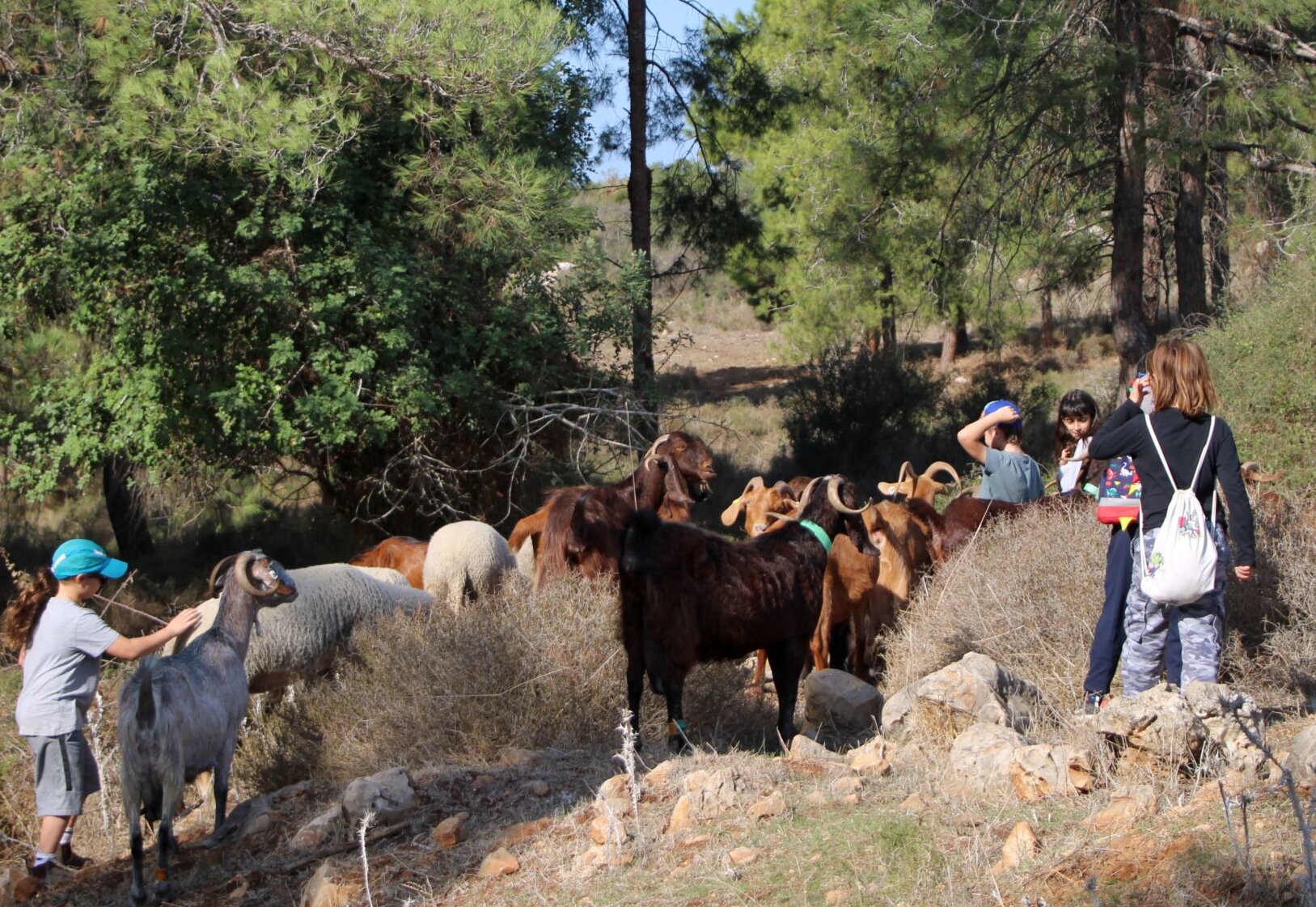 סיורי-עיזים-aspect-ratio-x
