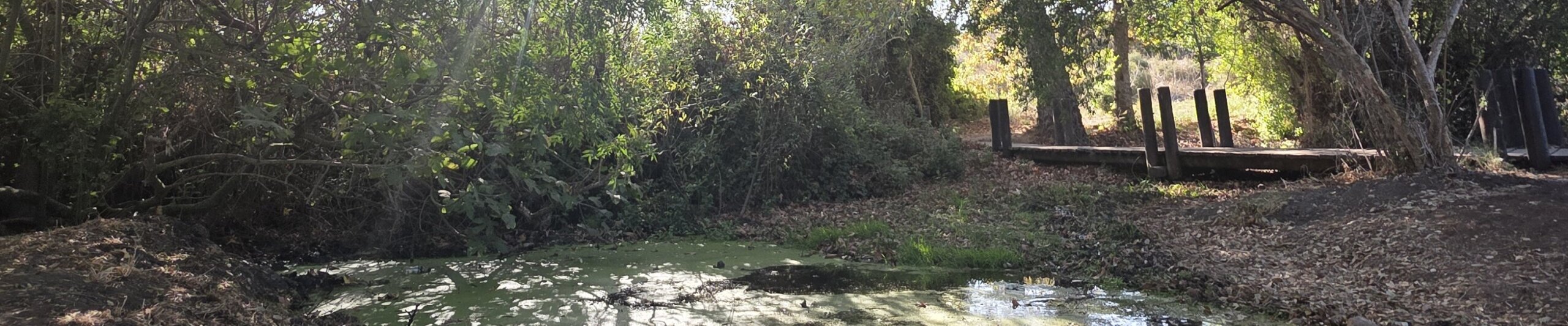 20251025_154249-scaled-aspect-ratio-x