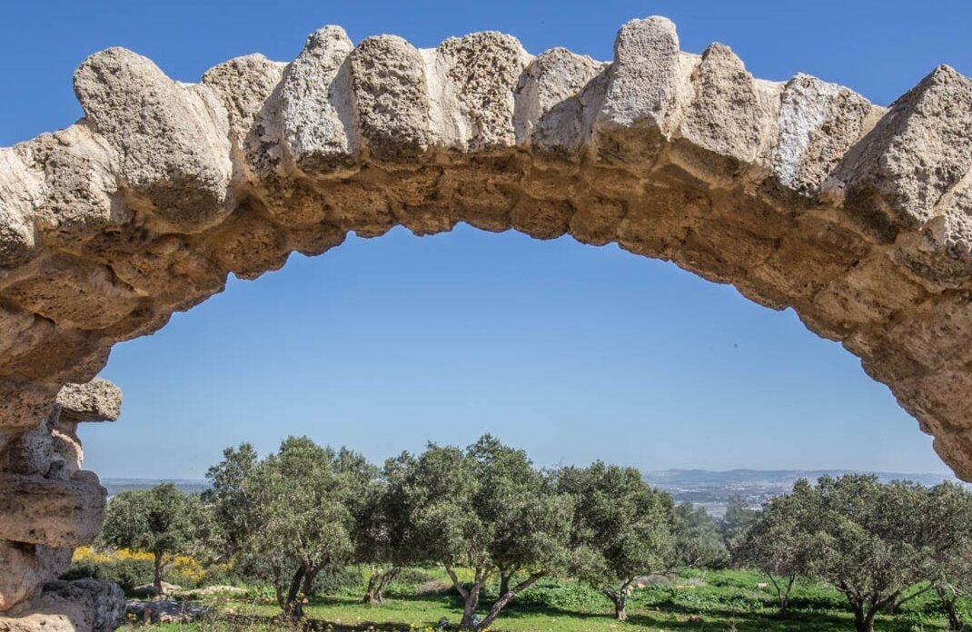 AL16_02_15_2675-aspect-ratio-x