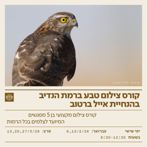 RH-LECTURES-PH-V13 (1)