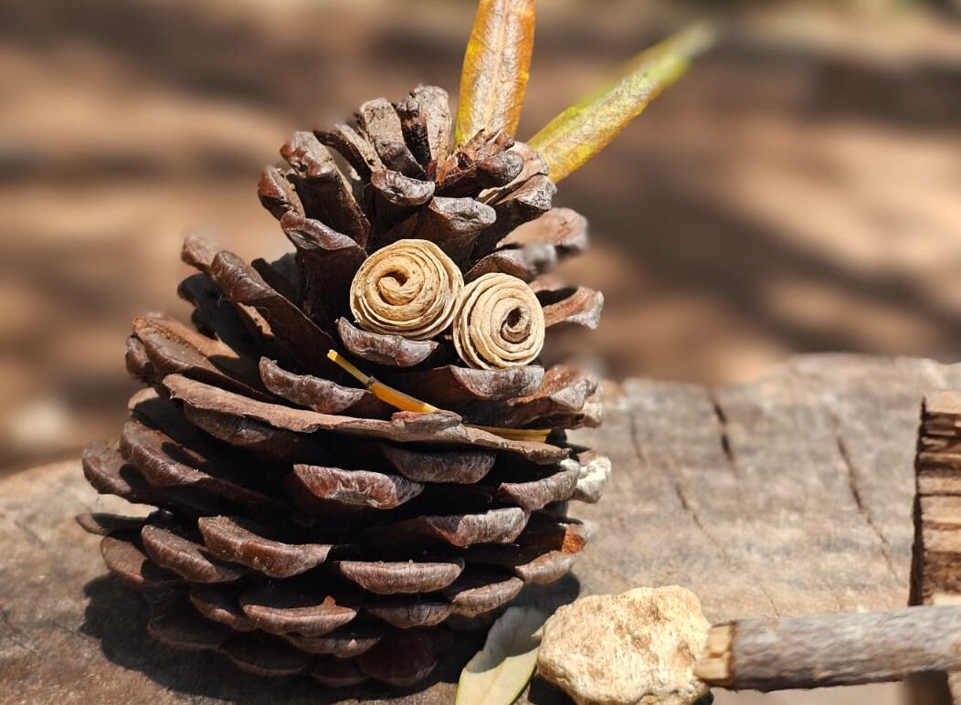 WhatsApp-Image-2025-11-23-at-10.12.38-1-aspect-ratio-x