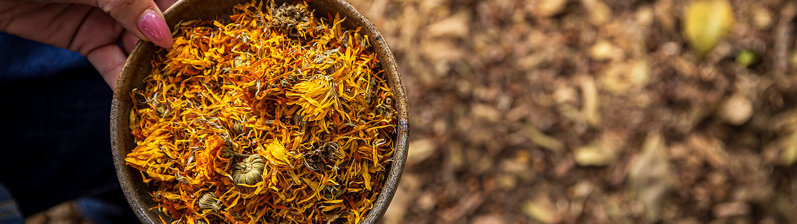 Yo-See-RH-584-aspect-ratio-x