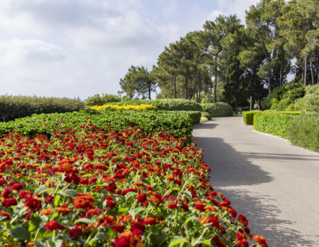 004_RH_Yadid_May24_0065